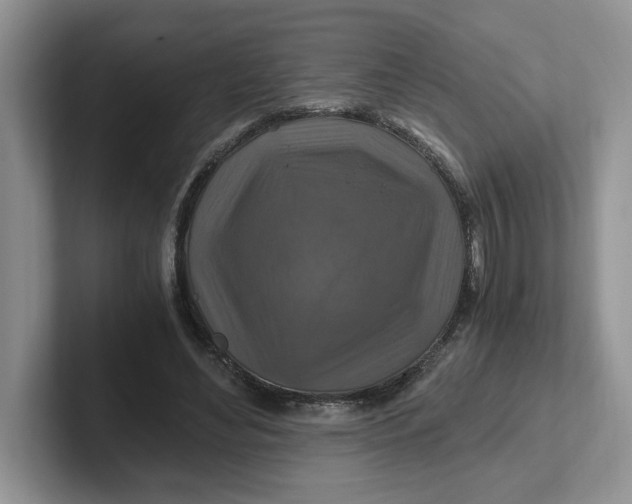 X0000101710492200807311455