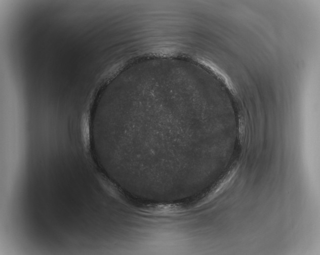 X0000101710493200807311455