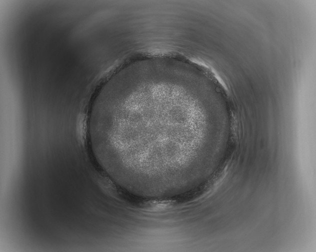 X0000101710495200807311455