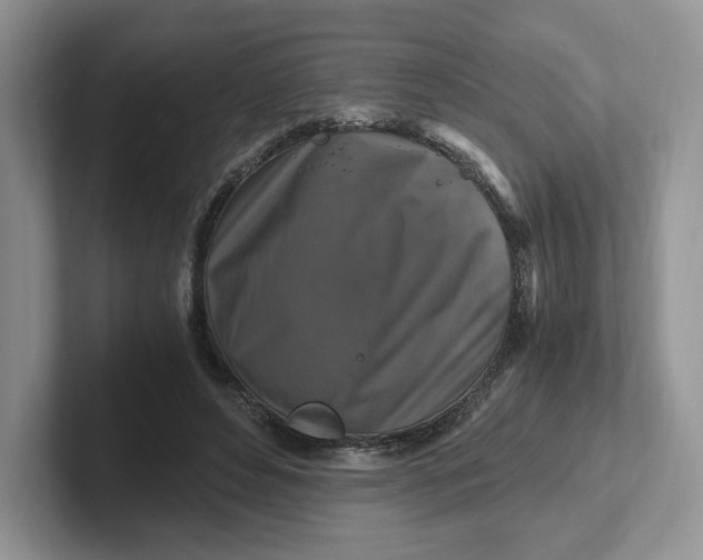 X0000101710496200807311455