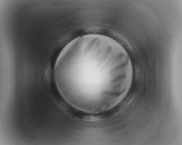 X0000101710498200807311455