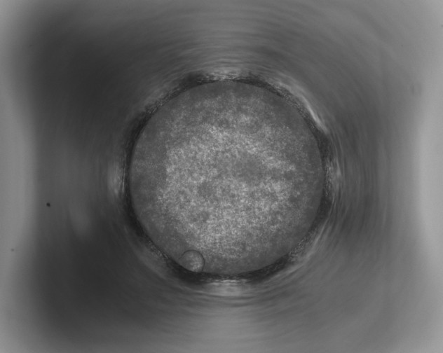 X0000101710499200807311455