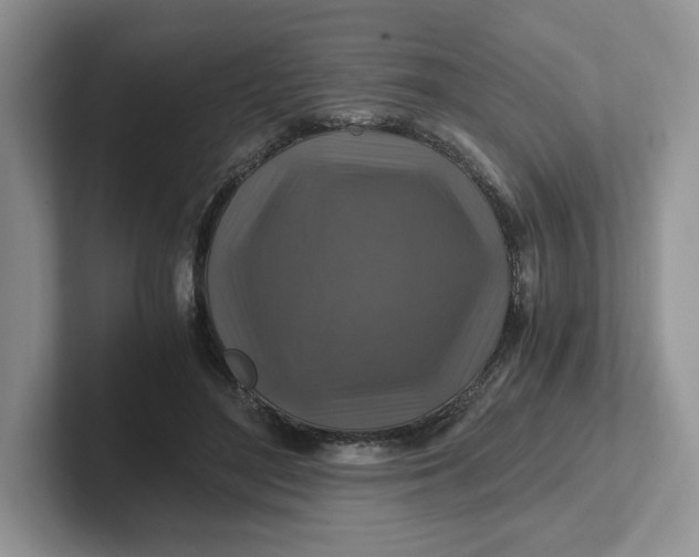 X0000101710500200807311454