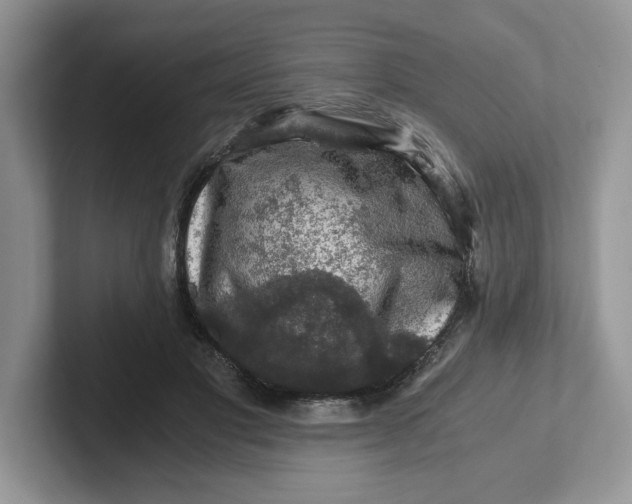 X0000101710501200807311454