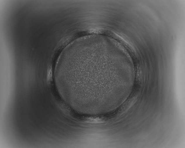 X0000101710502200807311454