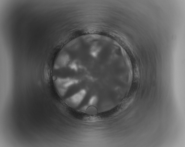 X0000101710503200807311454