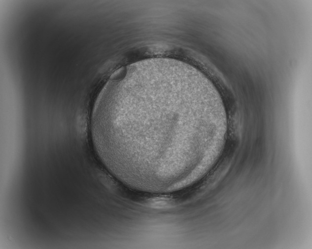 X0000101710505200807311454