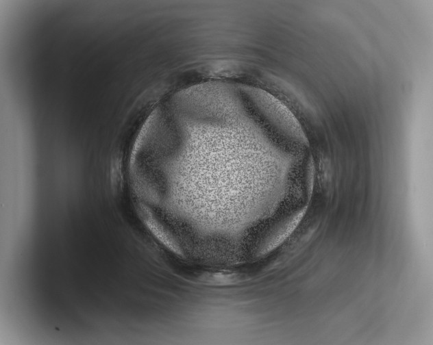 X0000101710506200807311454