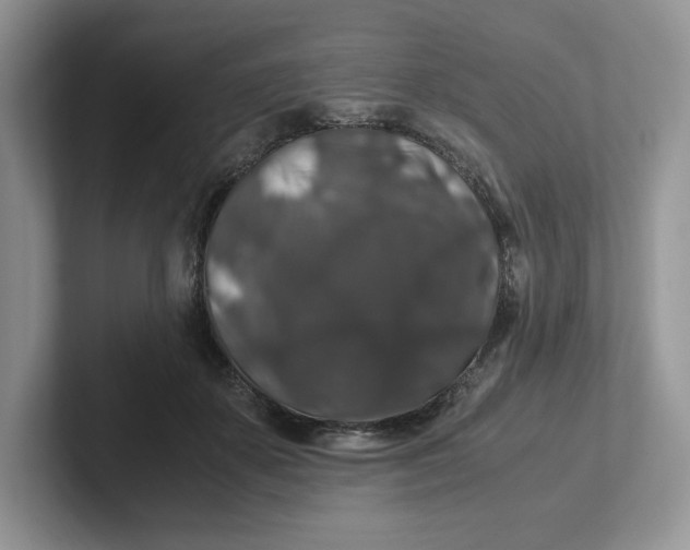 X0000101710507200807311454