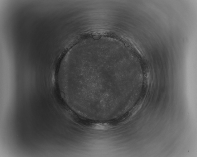 X0000101710508200807311454