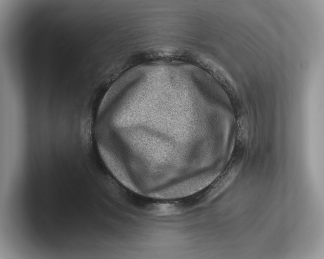 X0000101710509200807311454