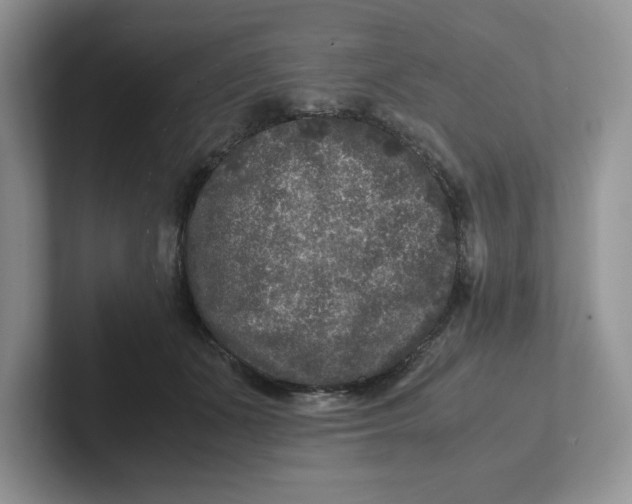 X0000101710511200807311454