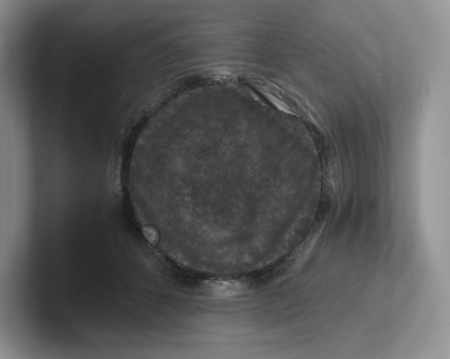 X0000101710512200807311454