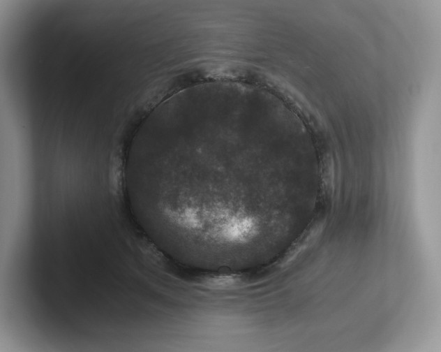 X0000101710513200807311454