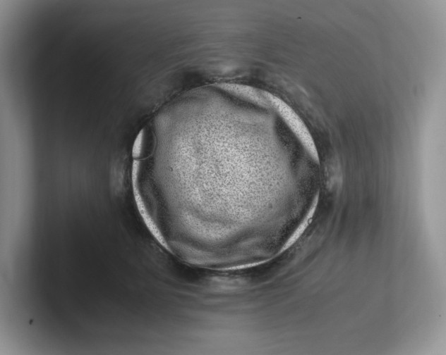 X0000101710515200807311454