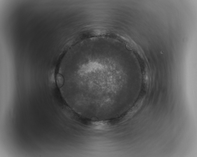 X0000101710516200807311454