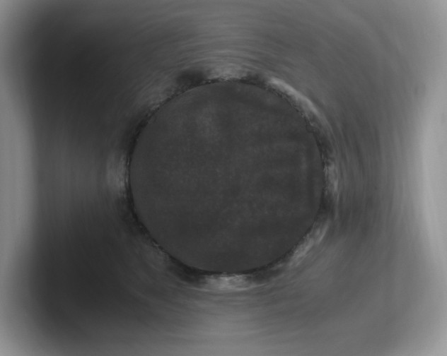 X0000101710517200807311454