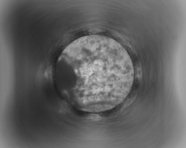 X0000101710519200807311454