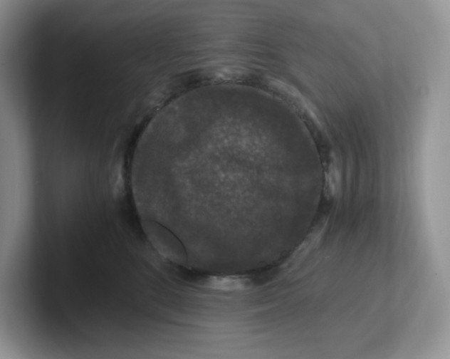 X0000101710520200807311454