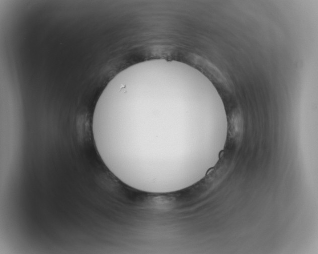 X0000101710522200807311454