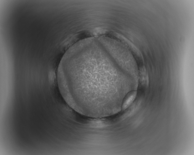 X0000101710523200807311454