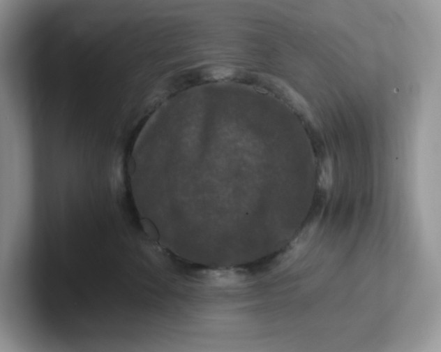 X0000101710524200807311454