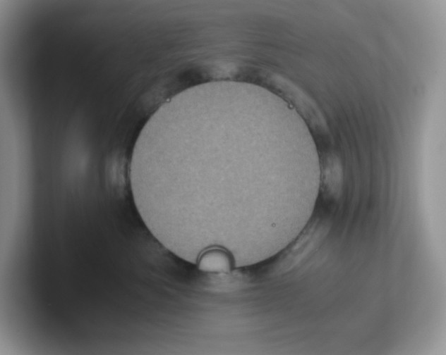 X0000101710525200807311454