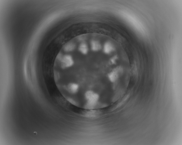 X0000101710527200807311454