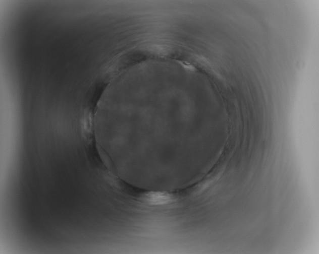 X0000101710528200807311454