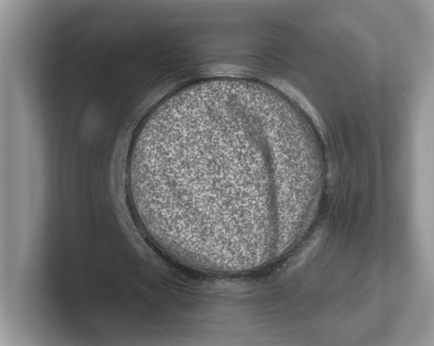 X0000101710529200807311454