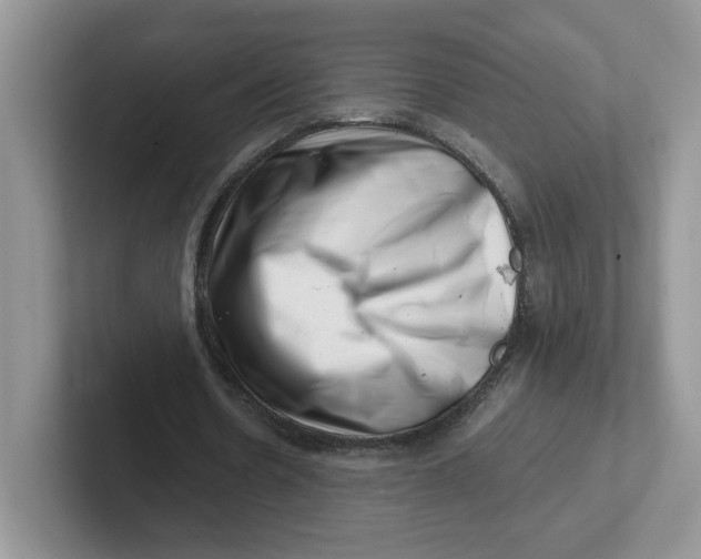 X0000101710530200807311454