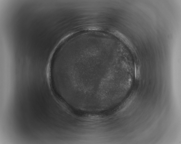 X0000101710531200807311454