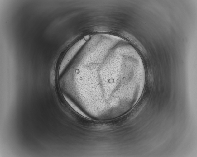 X0000101710533200807311454