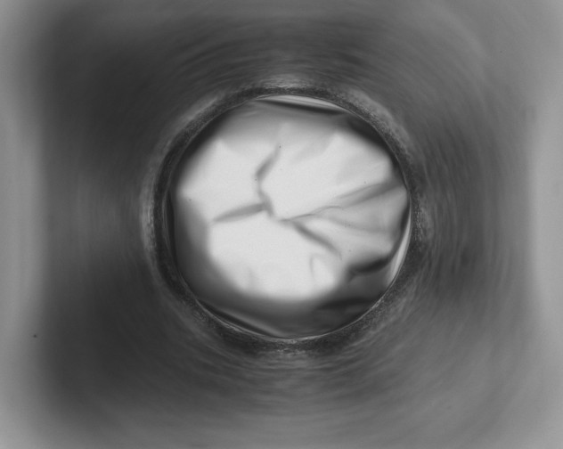 X0000101710535200807311454