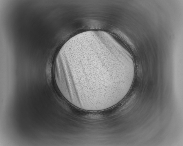 X0000101710537200807311454