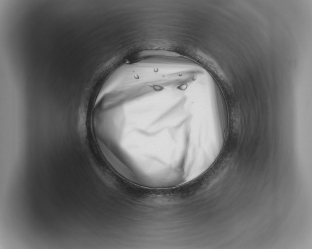 X0000101710538200807311454