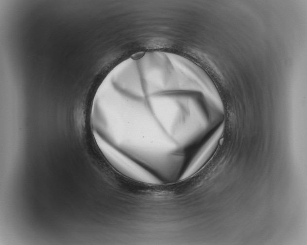 X0000101710539200807311454