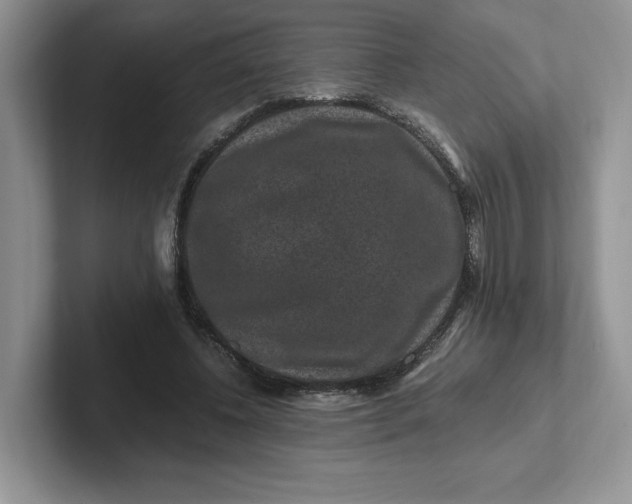 X0000101710540200807311454