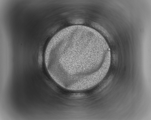 X0000101710541200807311454