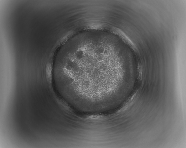 X0000101710542200807311454