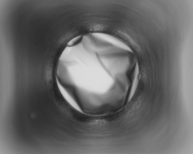 X0000101710543200807311454