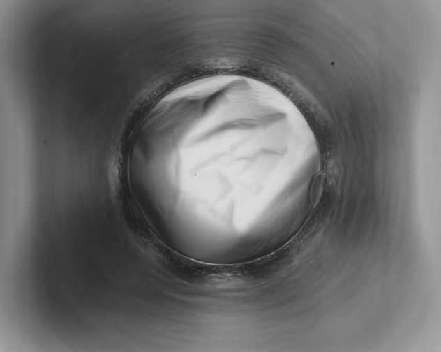 X0000101710544200807311454