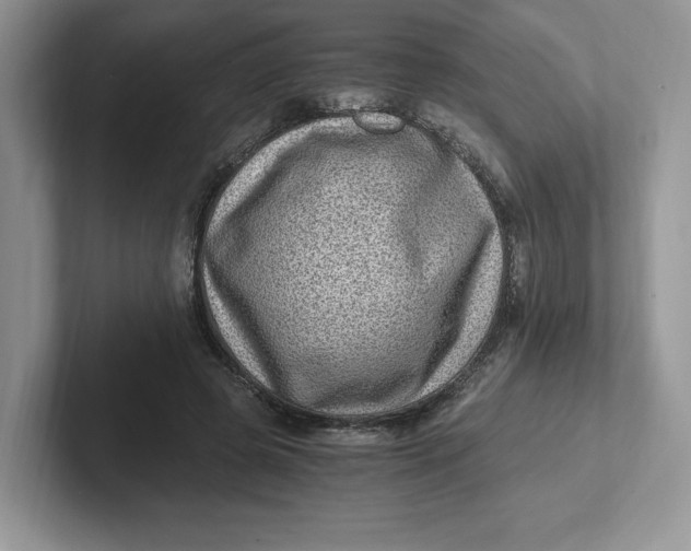 X0000101710545200807311454