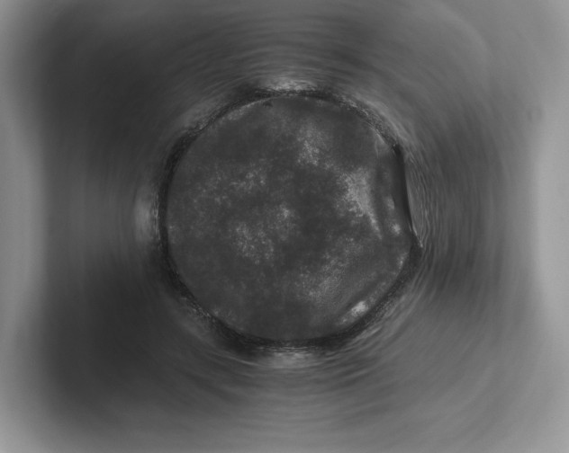 X0000101710547200807311454