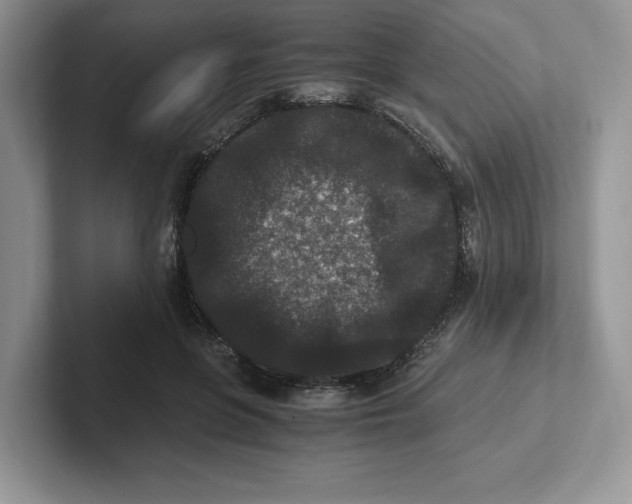 X0000101710551200807311454