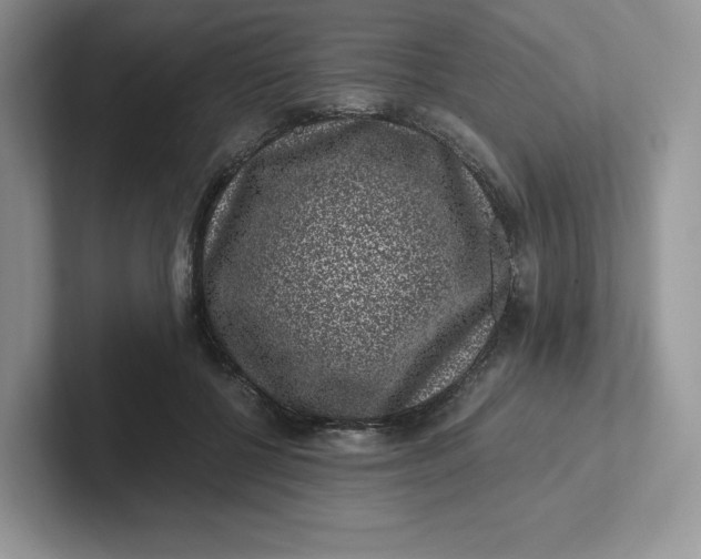 X0000101710552200807311454