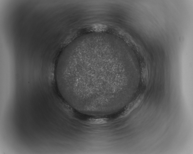 X0000101710553200807311454