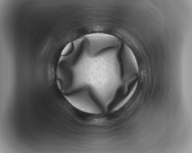 X0000101710555200807311454