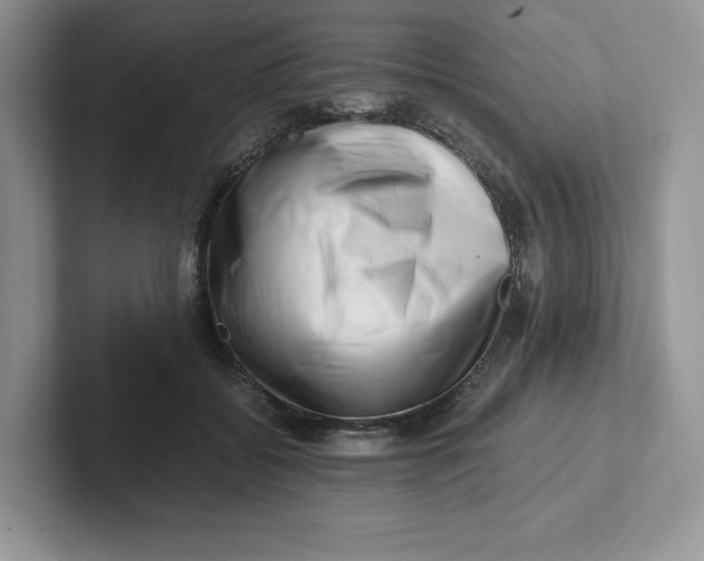 X0000101710556200807311454