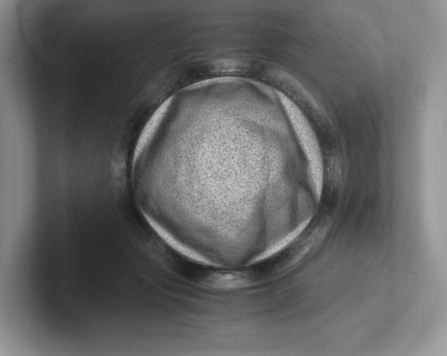 X0000101710557200807311454